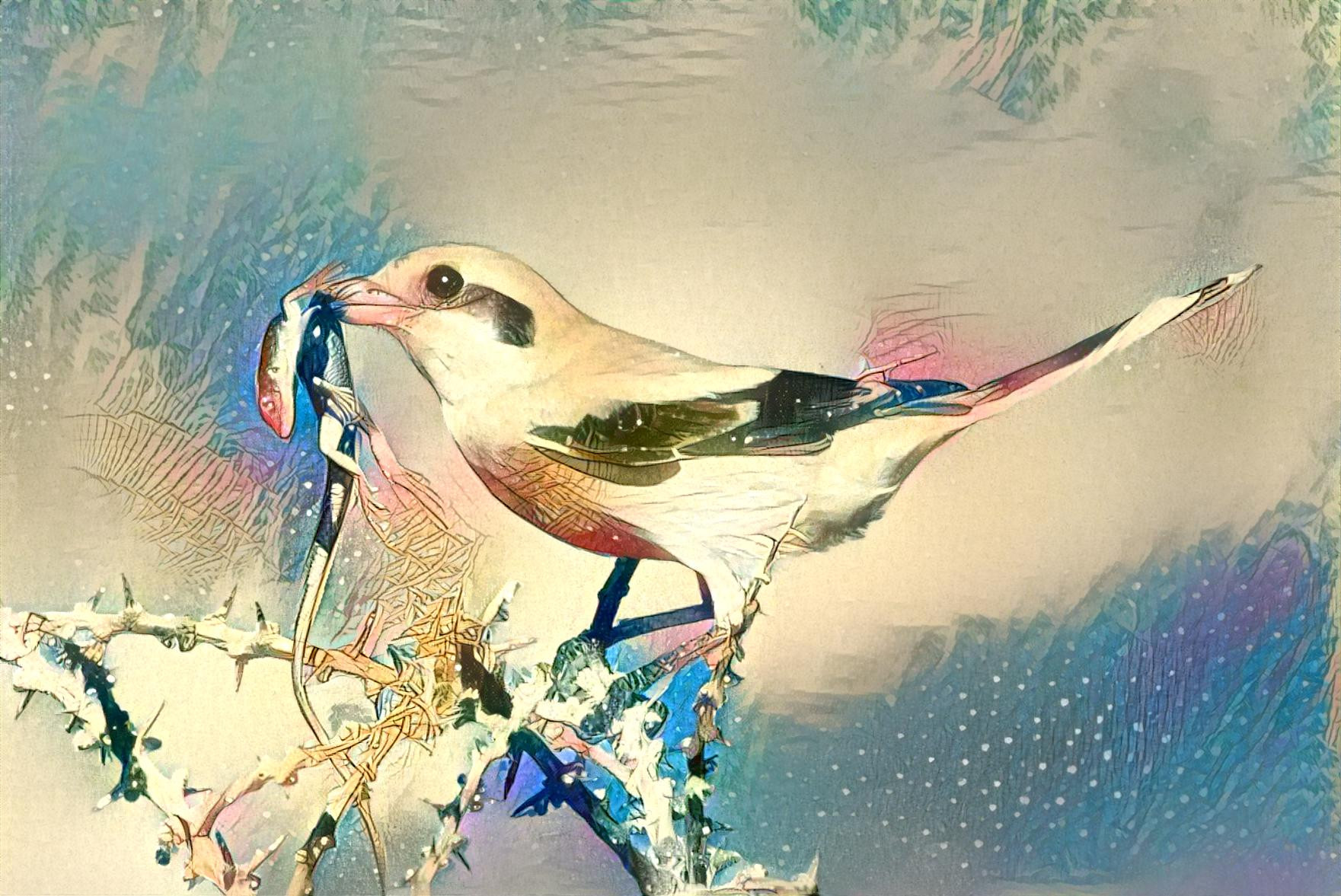 Shrike Eating a Lizard in the Snow