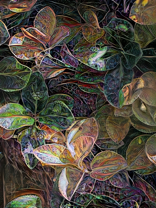 Elfin leaves