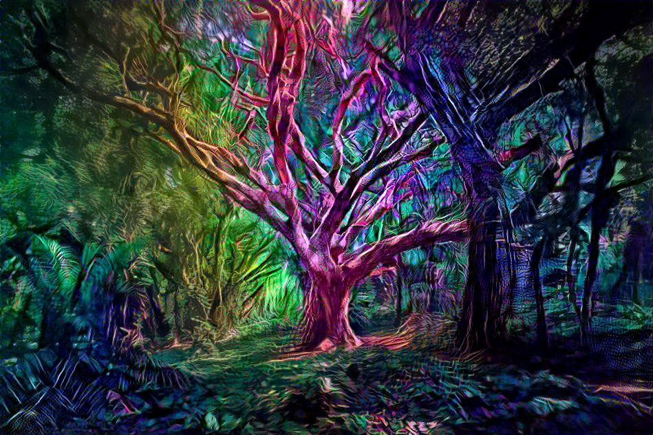 Fantasy Forest