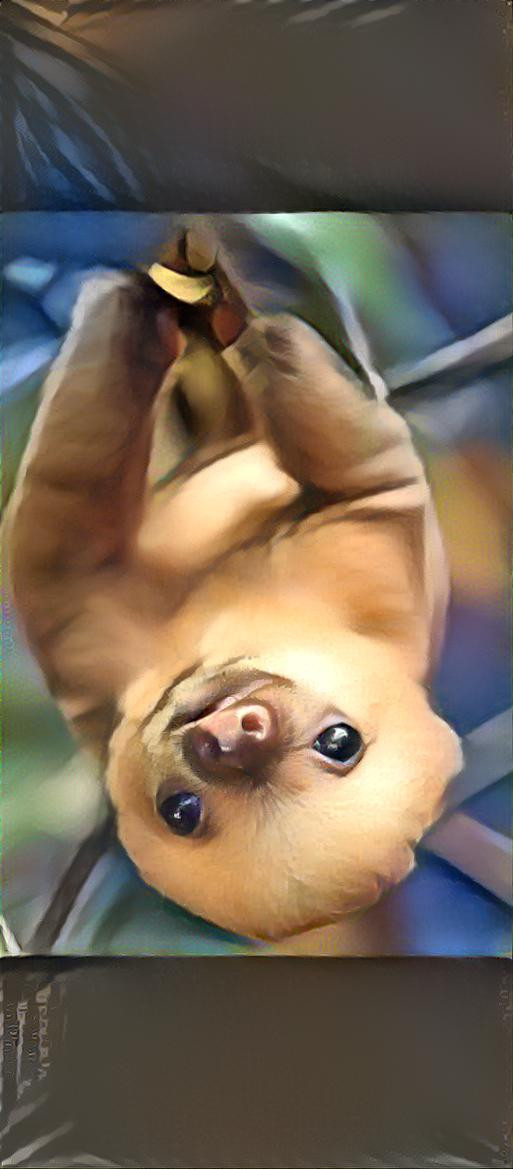 The smooth baby sloth