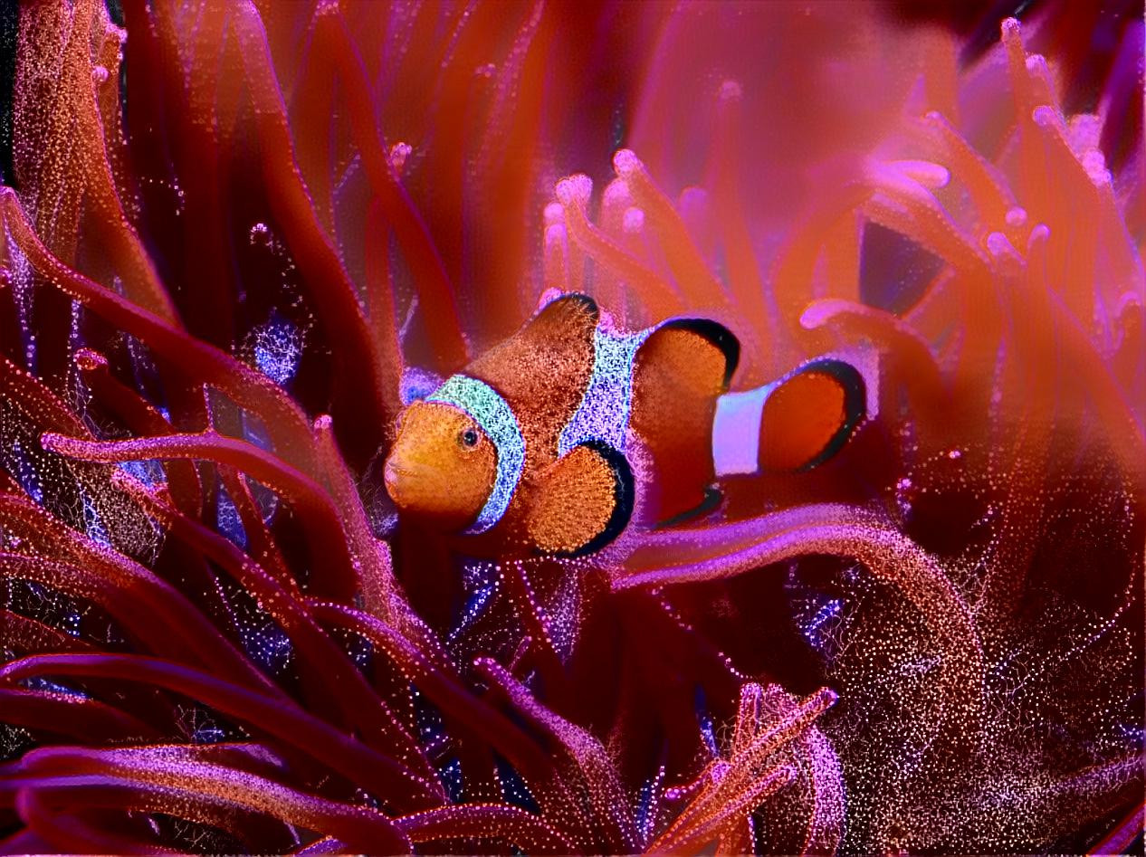 Cosmic Clownfish