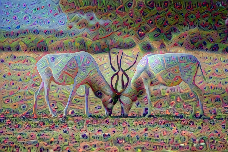 Will be using my own Deep Dreams in combination with DeepDreamGenerator's.