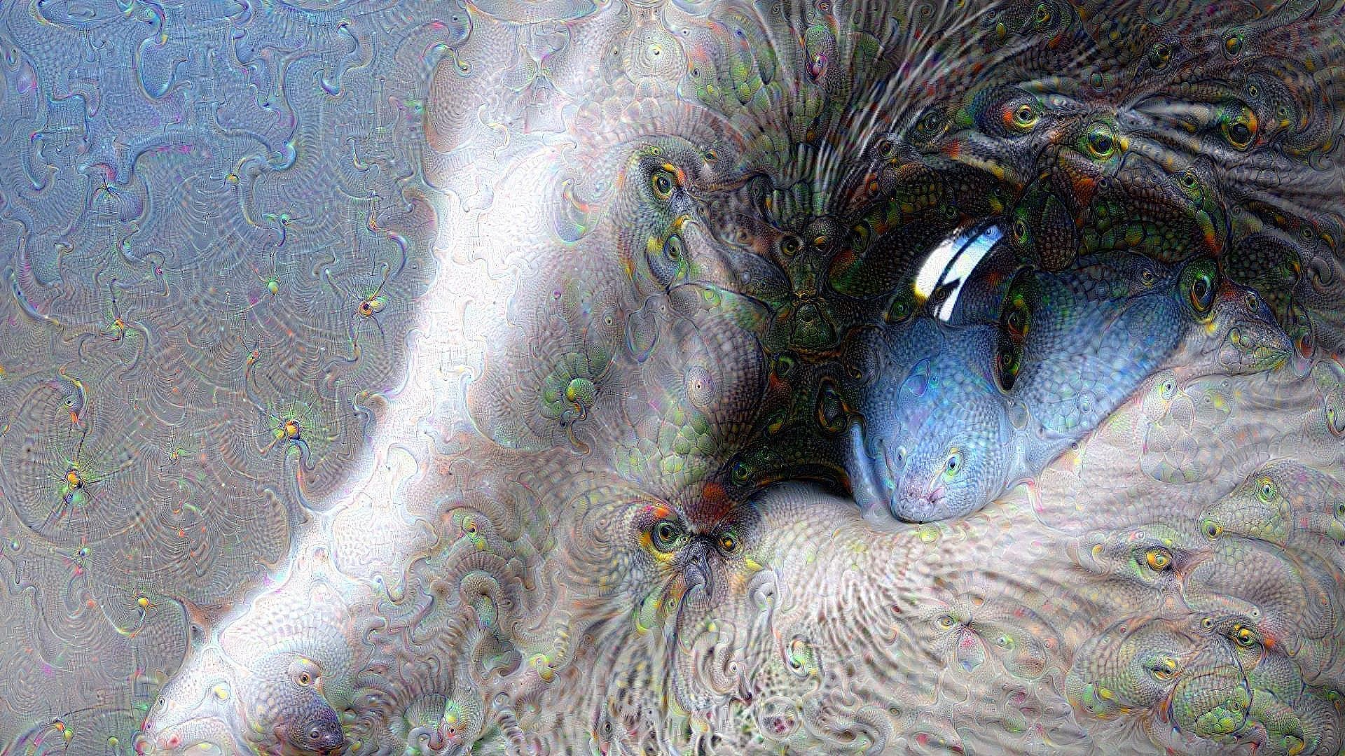 eye