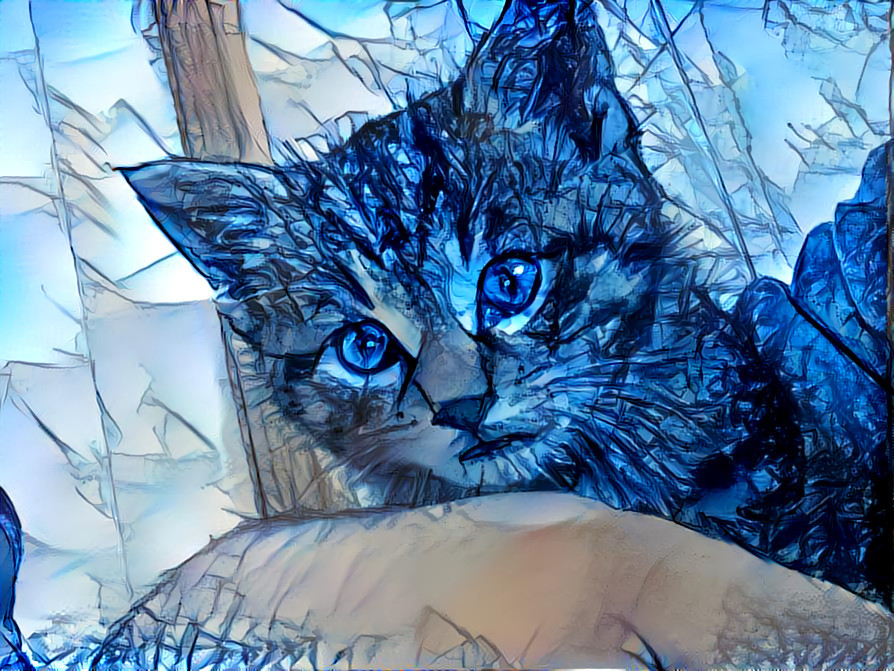 Ice Kitty