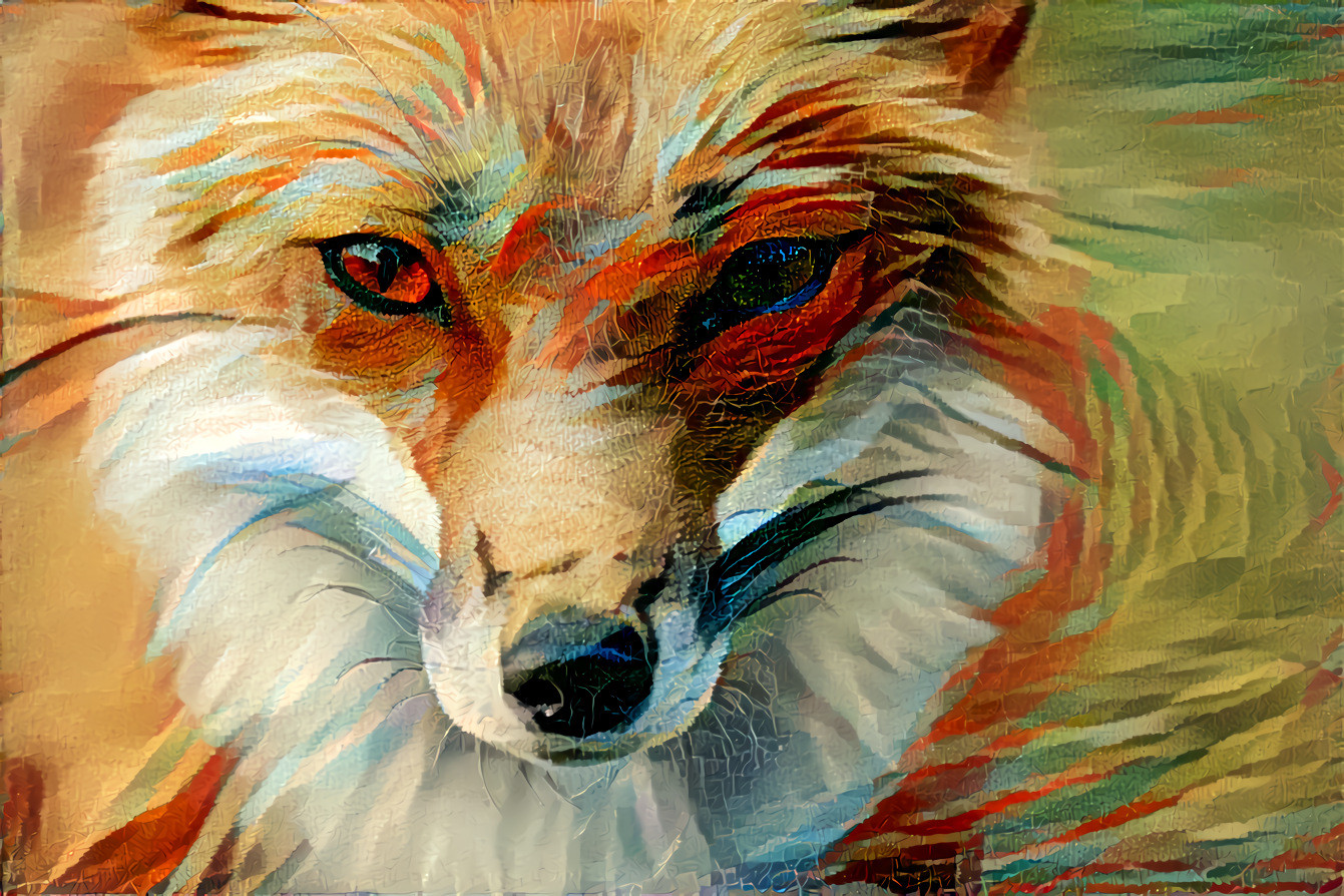 The Fox and You