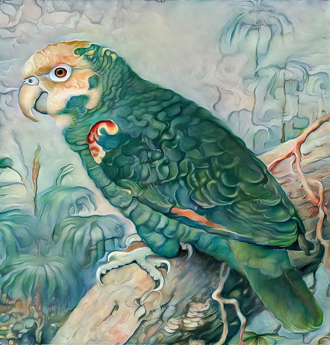 Green Parrot