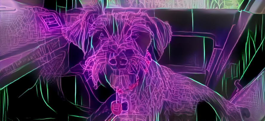 Cyber Schnauzer