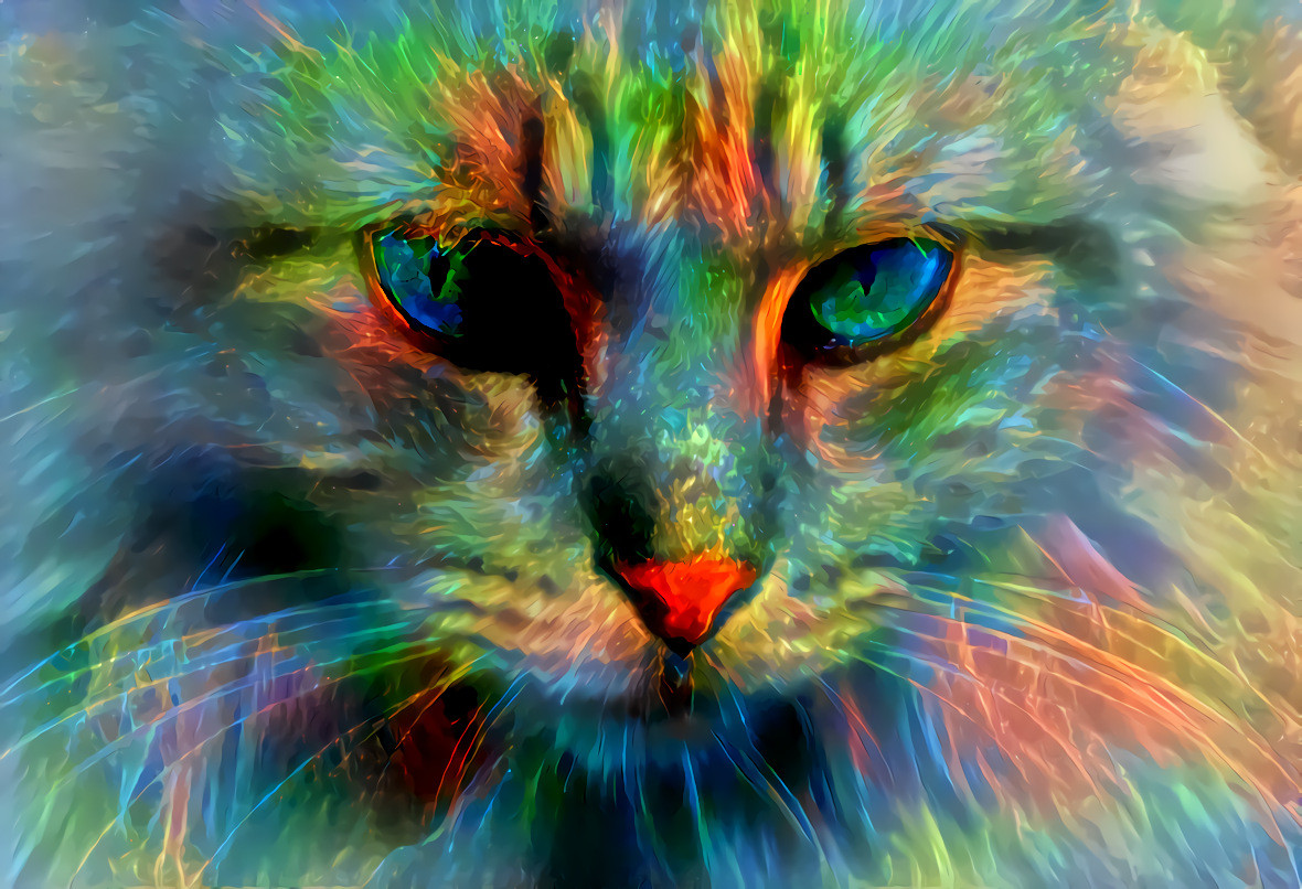 Rainbow cat