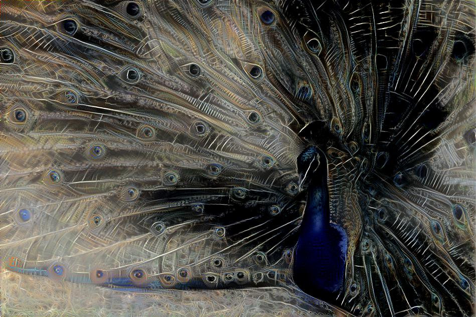 Peacock Painting