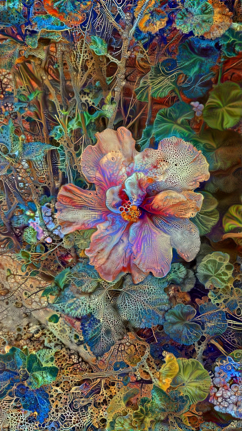 DMT Flowers