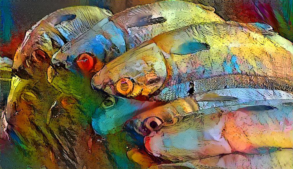 Milkfish. (Bangus). by Bernard Spragg. NZ(PD)