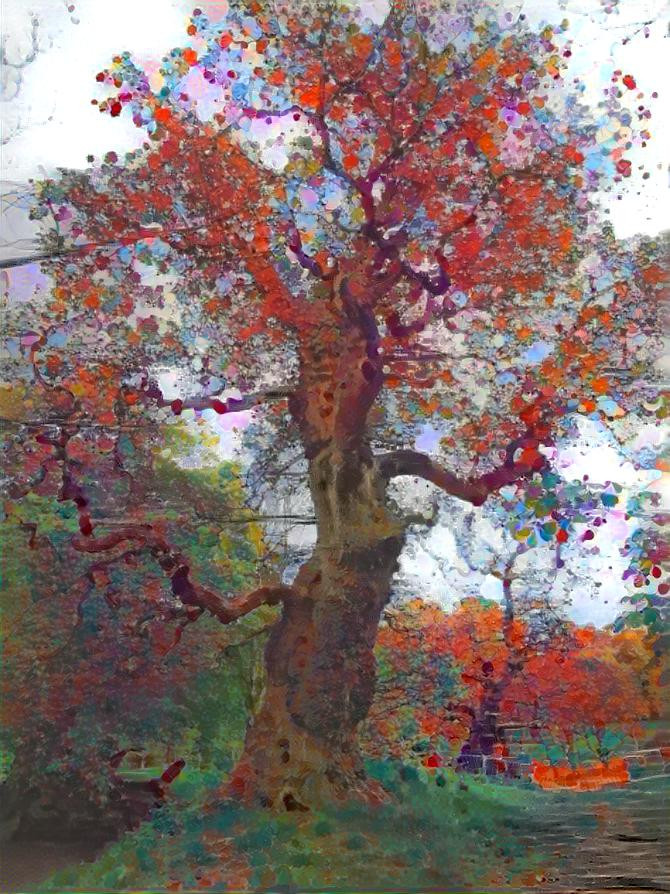 Rainbow tree