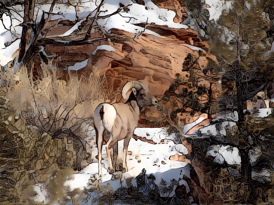 Keeping watch. Black Ridge Canyons Wilderness, CO