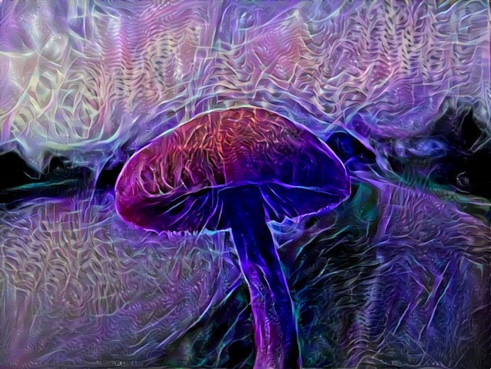 Magic Mushroom