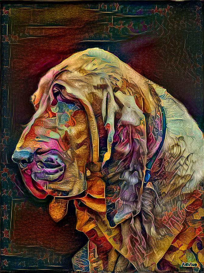 My bloodhound girl Iranda