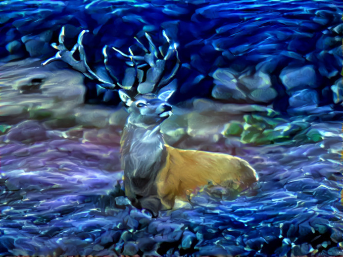 moose under water