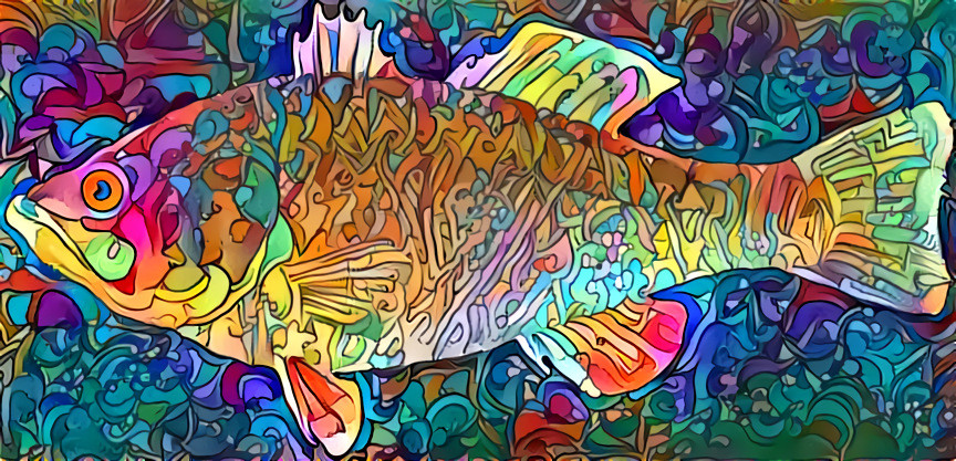 DDG Colorful Catch