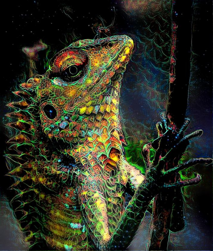 Lizzard