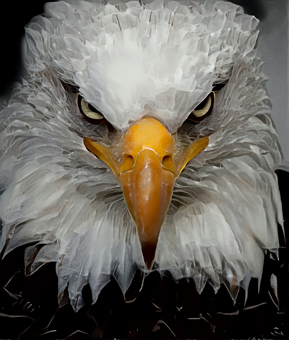 Eye of Eagle