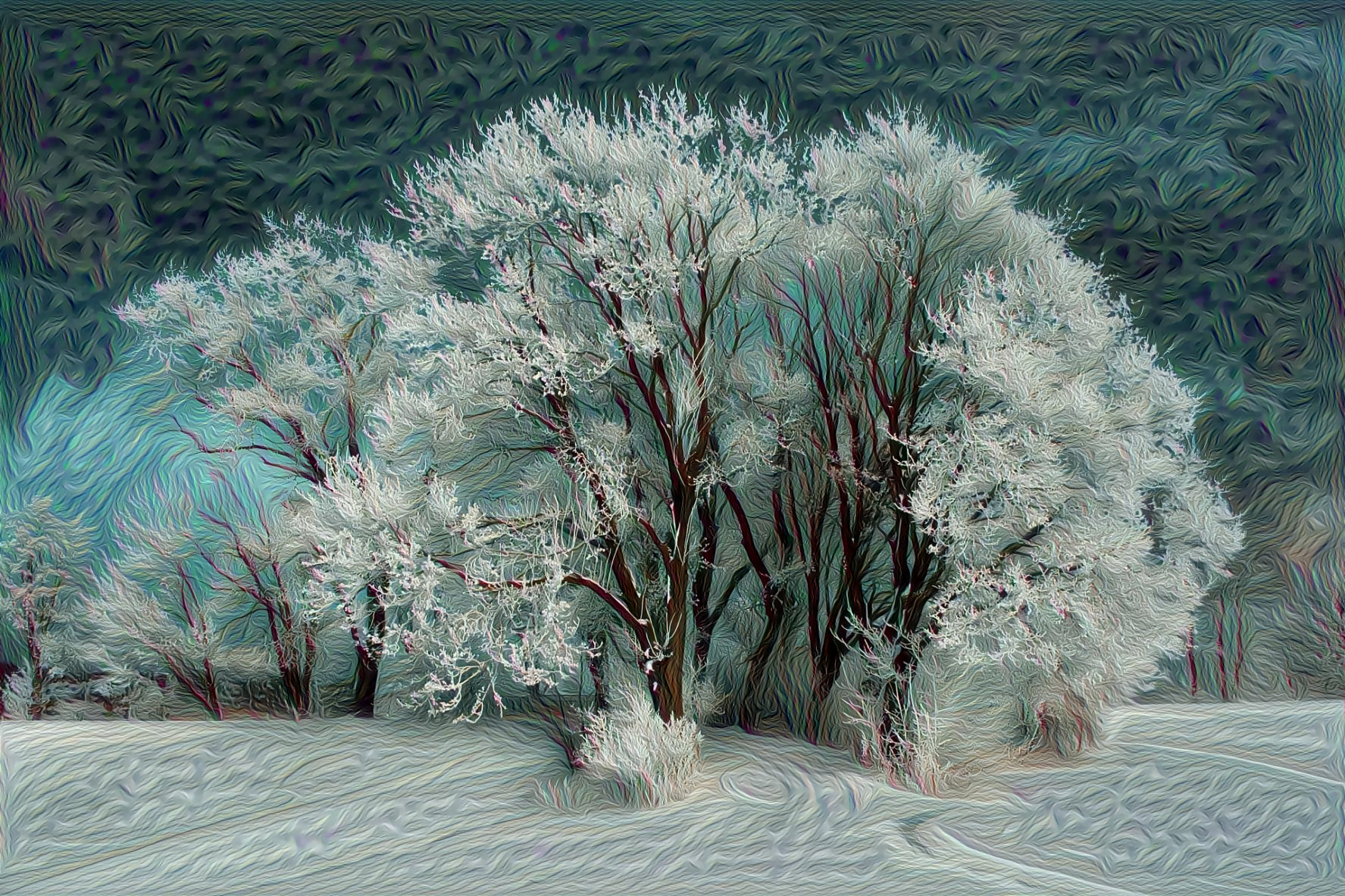 Wintry Sky, Snowy Trees