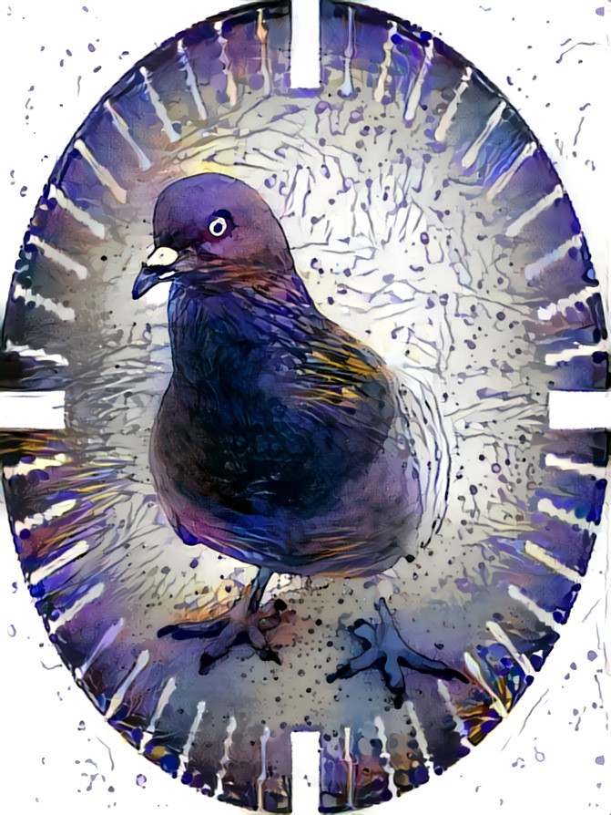 Pigeon Purple