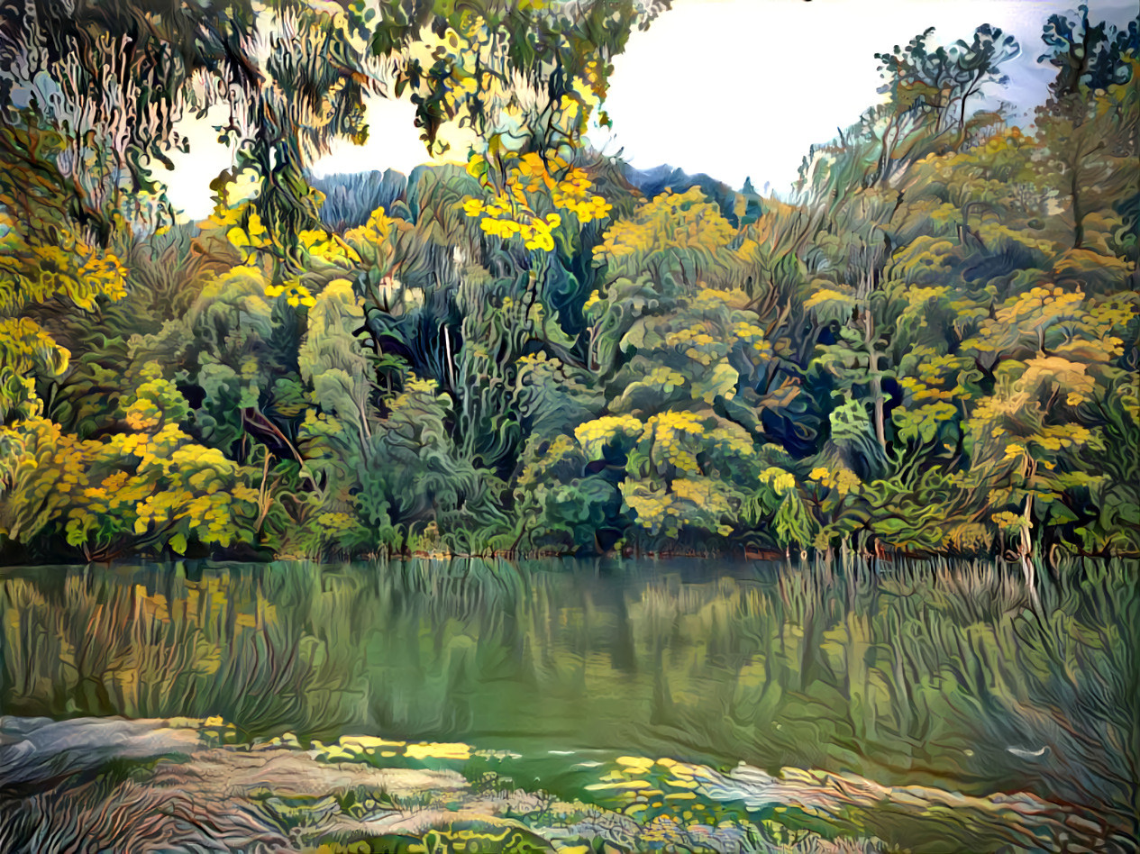 Forest at a river 