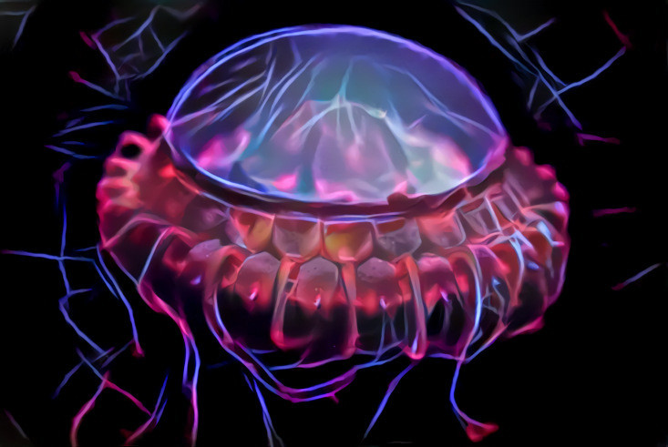 Plasma Jelly 2