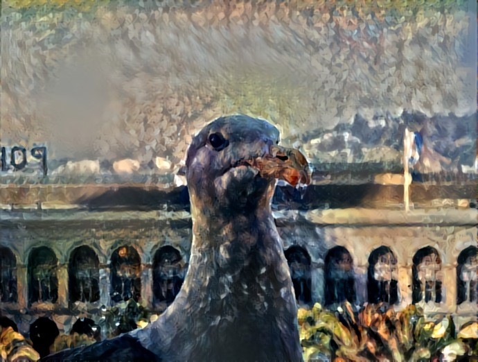 Renoir Seagull