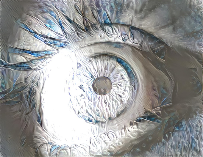 Eye