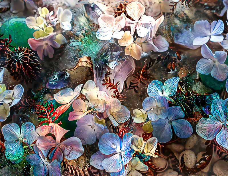 'Floating hydrangeas.' Style image: Del Kathryn Barton. Base image: ©Alison Lee Cousland: Licensed under CC Attribution-ShareAlike 4.0 International License.