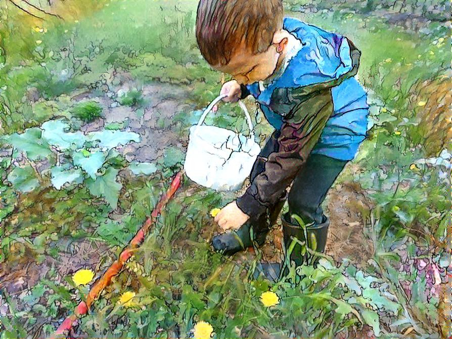 Picking Dandelions