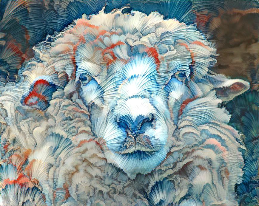 Colorful Sheep