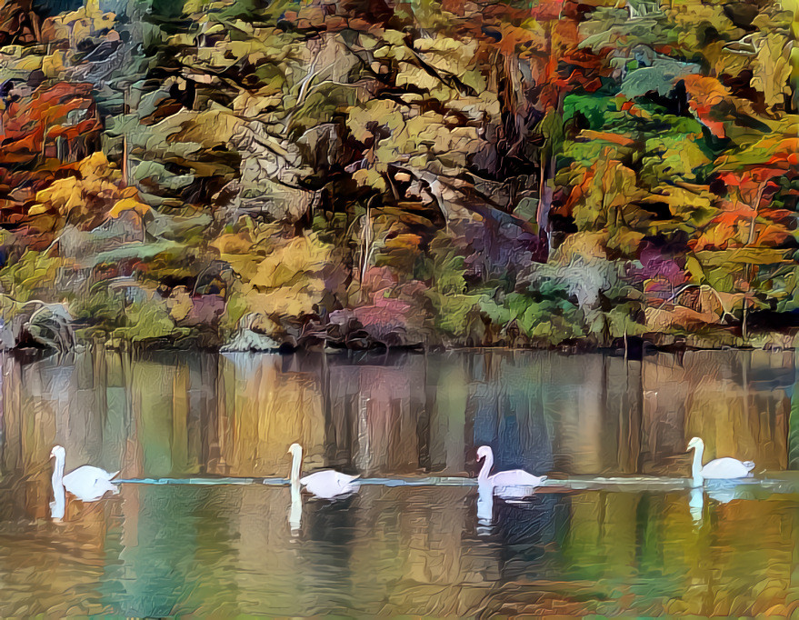 Line dance of the swans. 