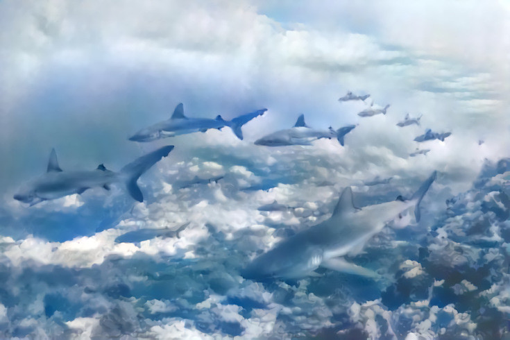 Sky sharks