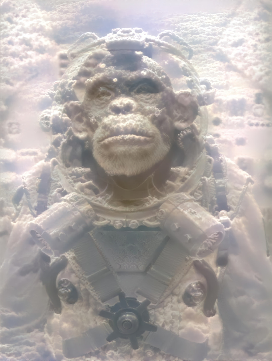 monkey in space suit - clouds