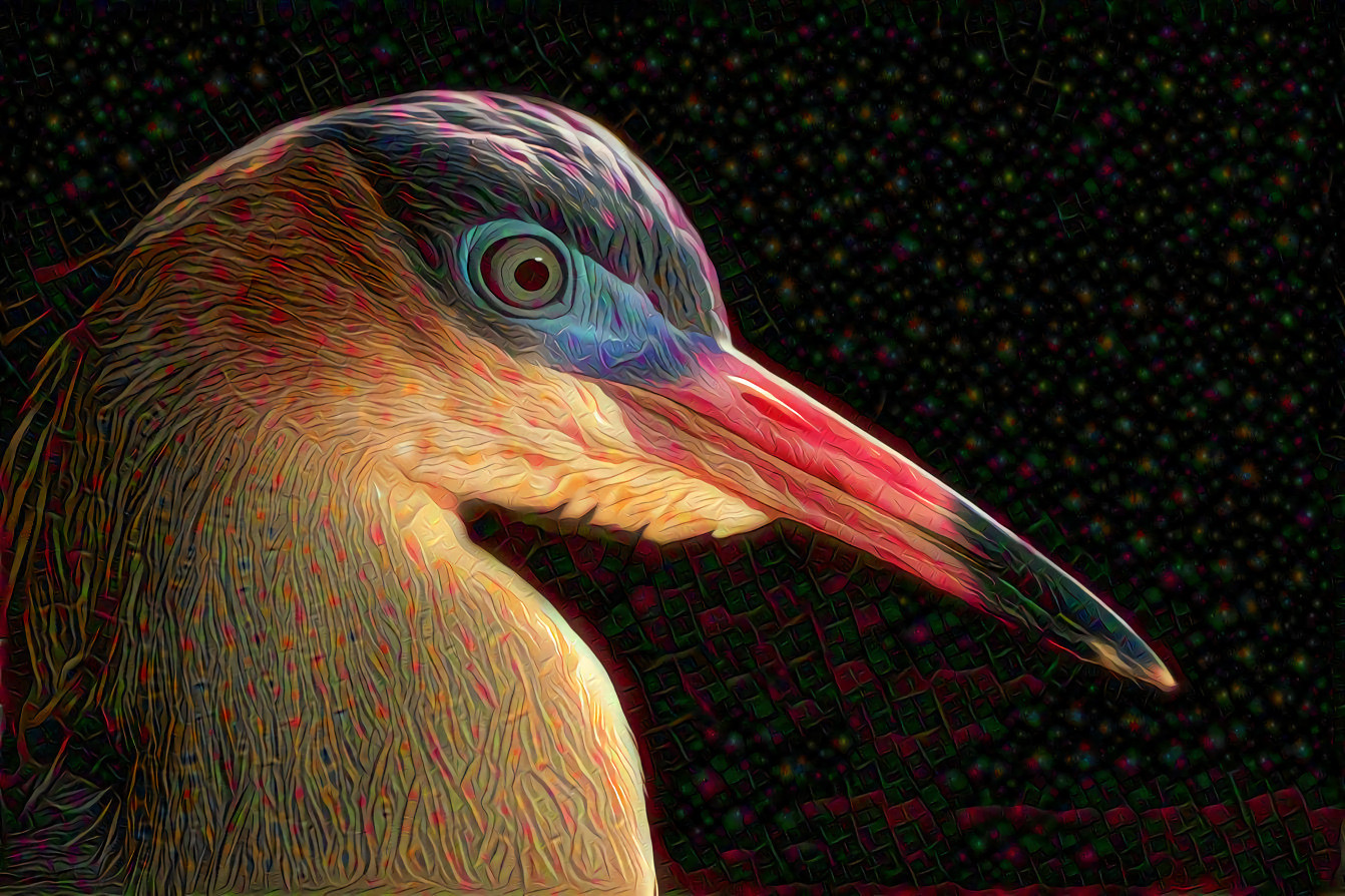 Whistling Heron, Syrigma Sibilatrix