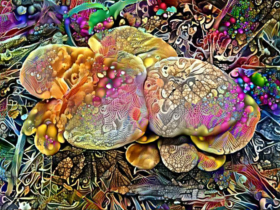 Marbleized Mushrooms