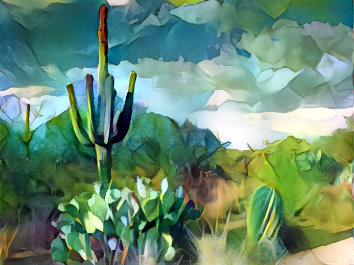 Cactus landscape