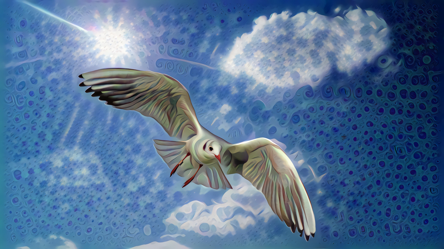 Seagull in the Sky