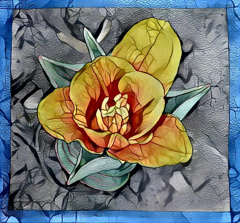 Stain Glass Tulip 