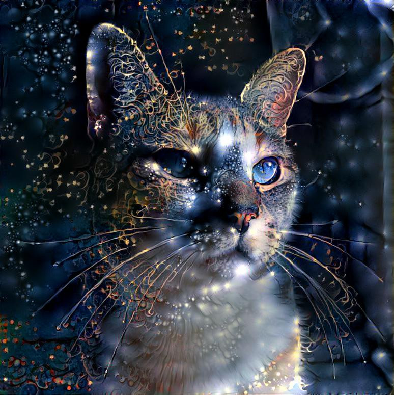 Cosmic Cat