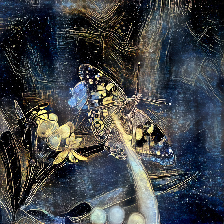 Painted Lady 3