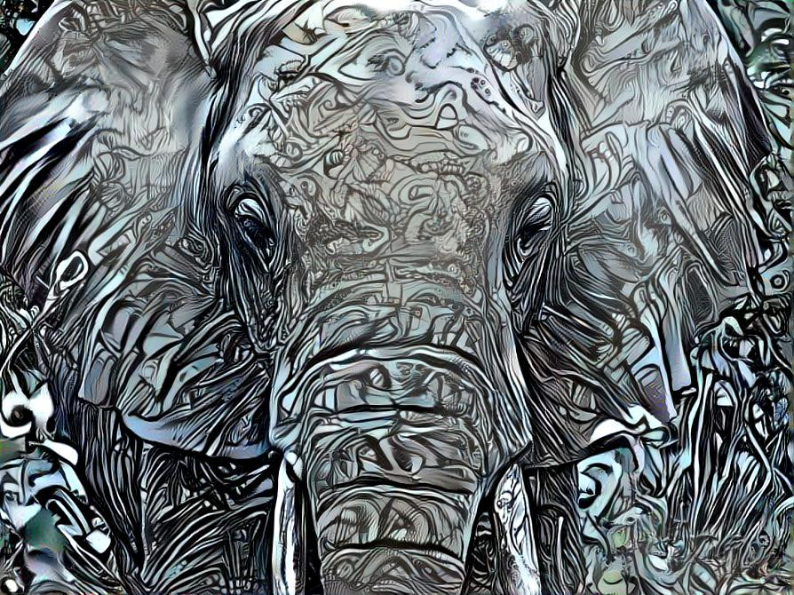 Elephant 