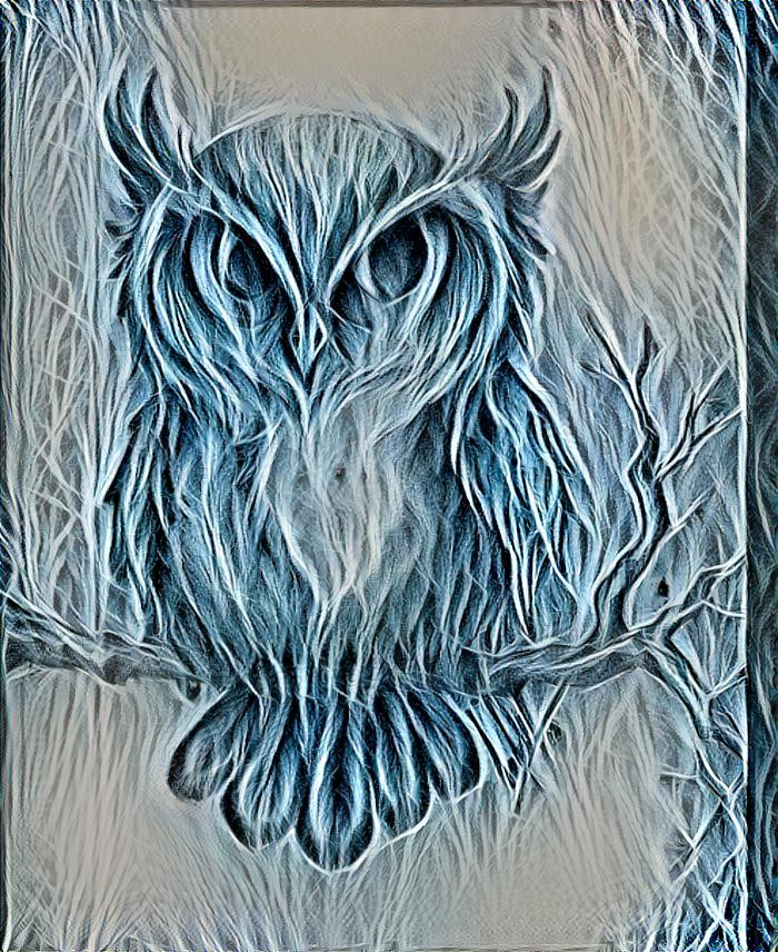 owl