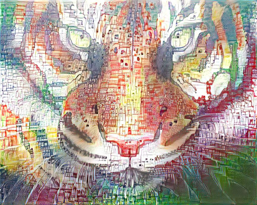 Colourful Tiger Face