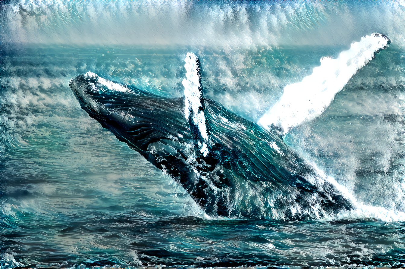 Redreaming Extinction Series: Humpback Whale