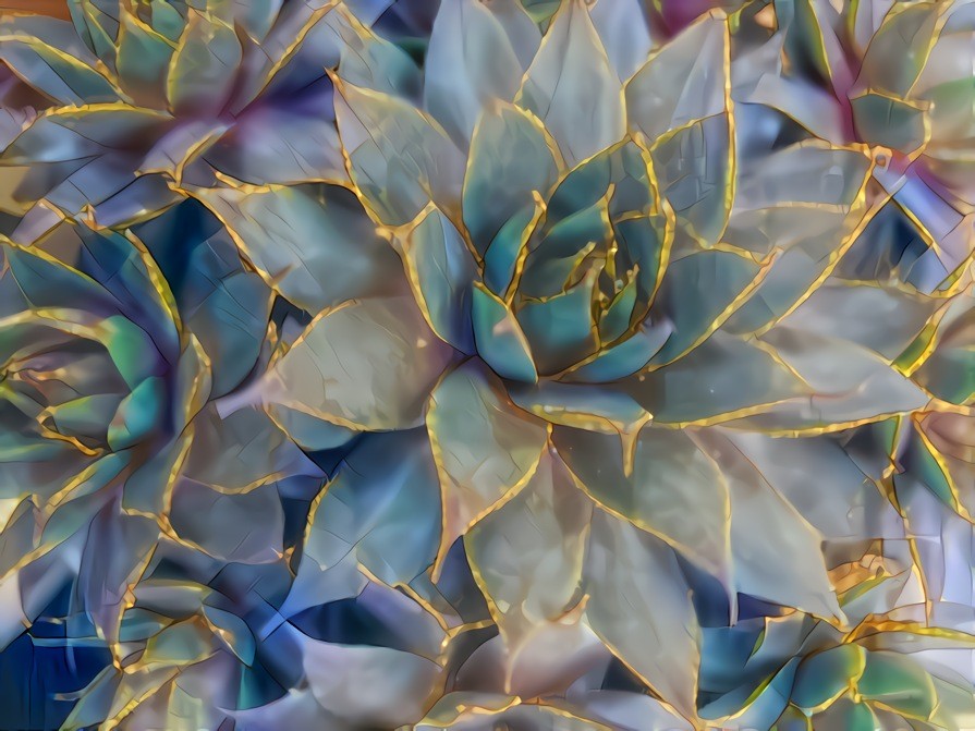 Succulent Spring ~ from my original photo