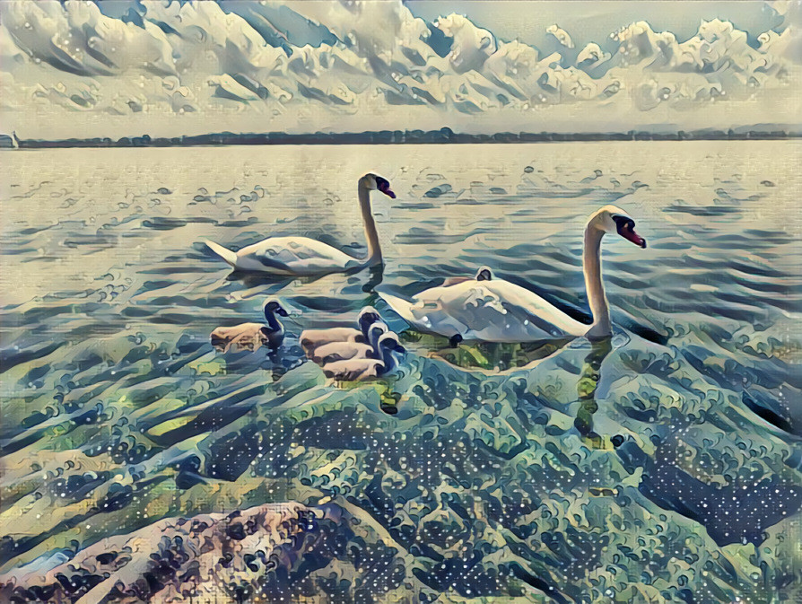 Swans on the Lake