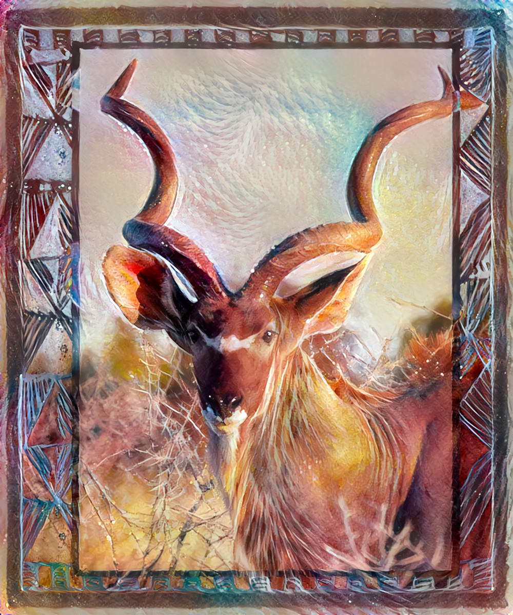 Kudu Antelope