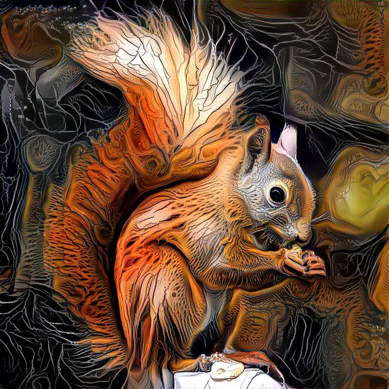 Squirrel 